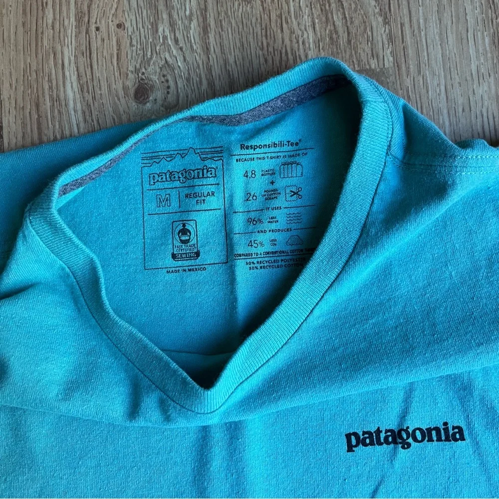 Patagonia Bison T Shirt Size Medium - Picture 3 of 4